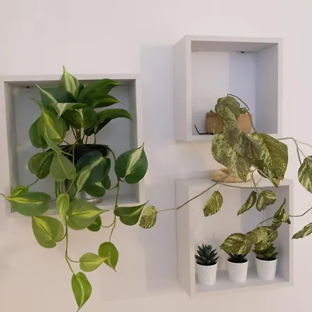 Mazzini 81 - * Ravena